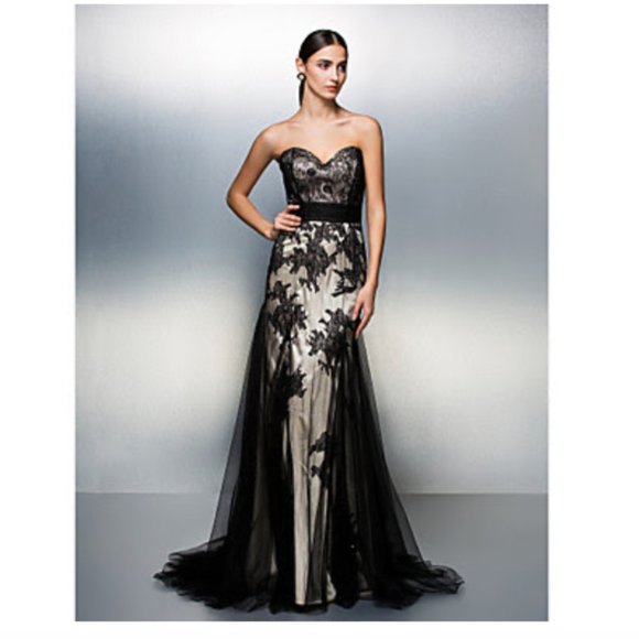 Dresses & Skirts - Satin and Lace Evening Gown
